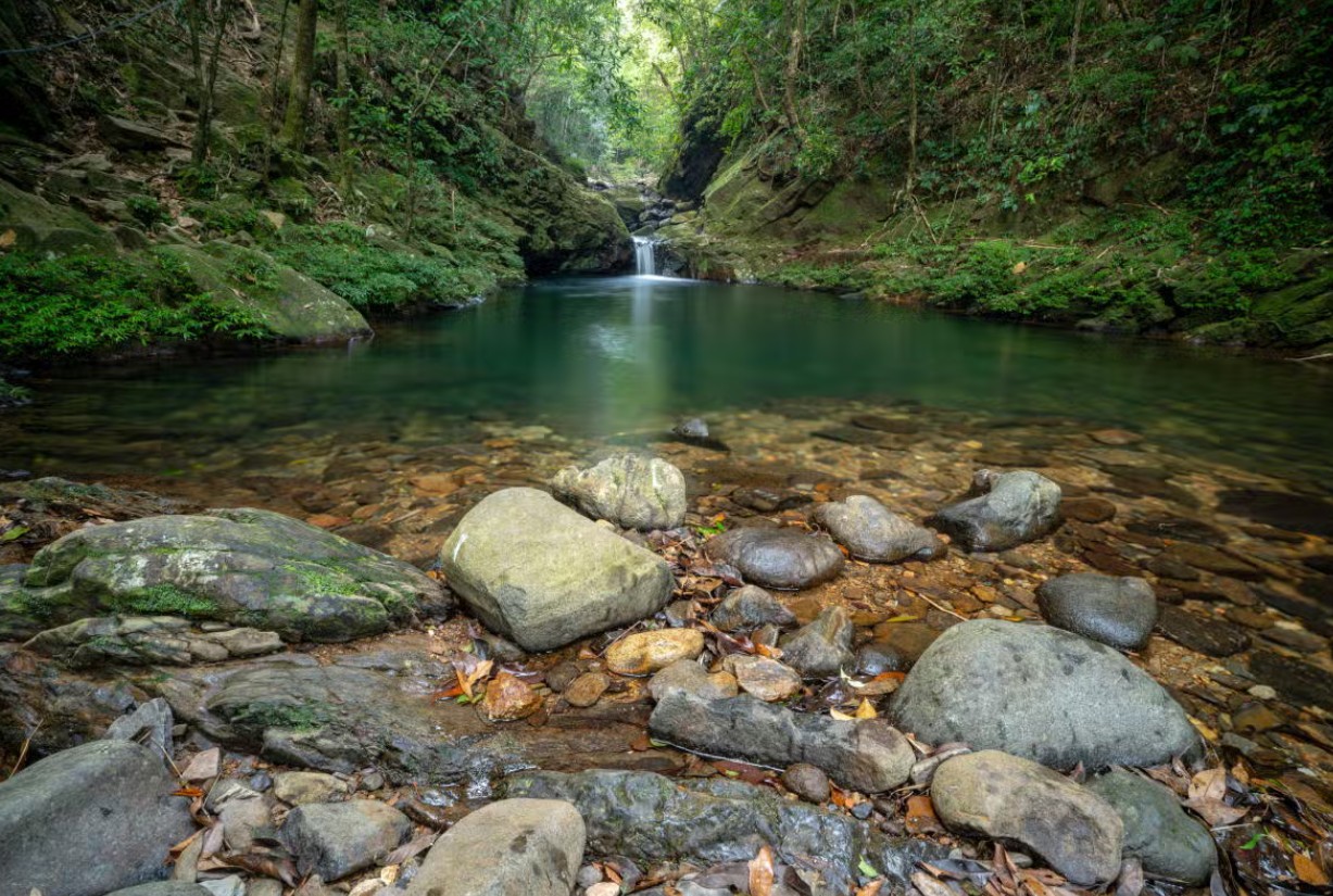 Parque nacional de Bach Ma