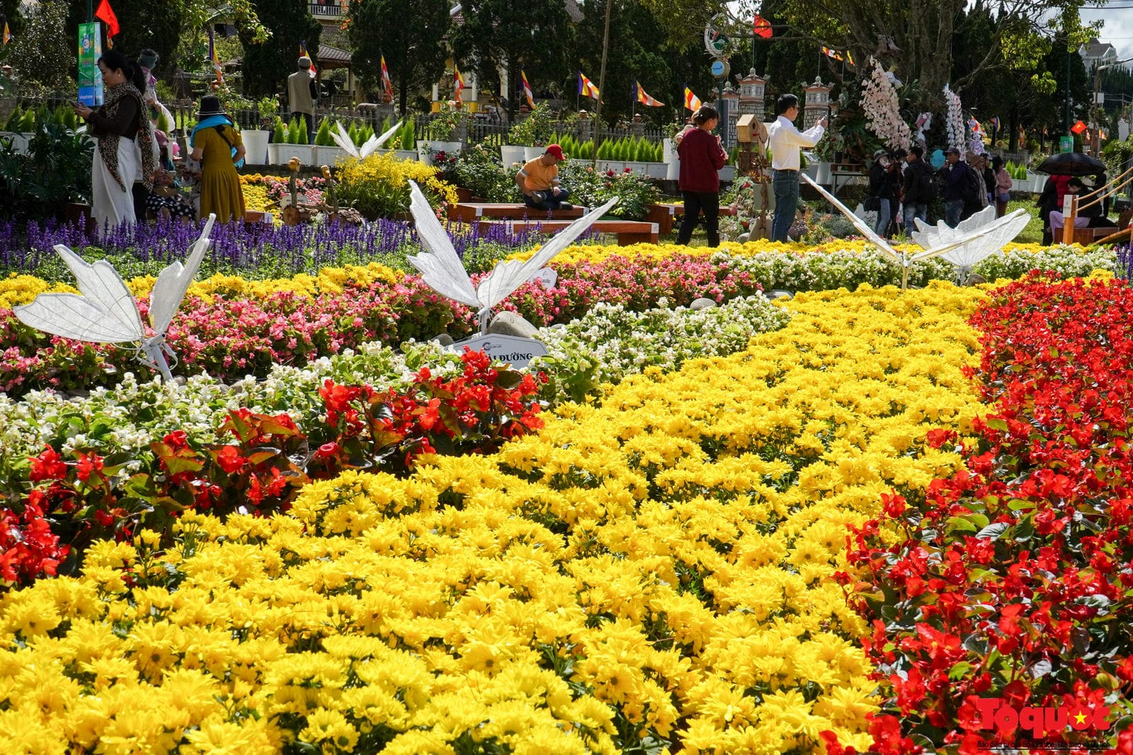 dalat – la-ciudad-de-las-flores