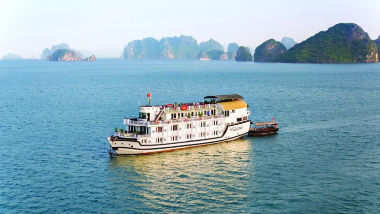 Bai Tu Long