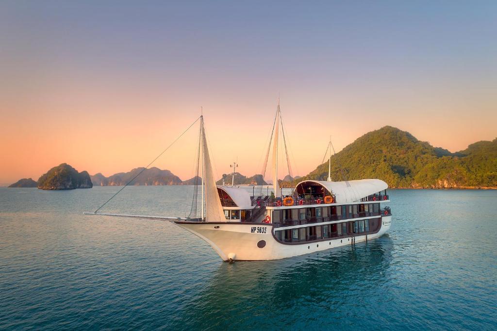 Sena-Cruises