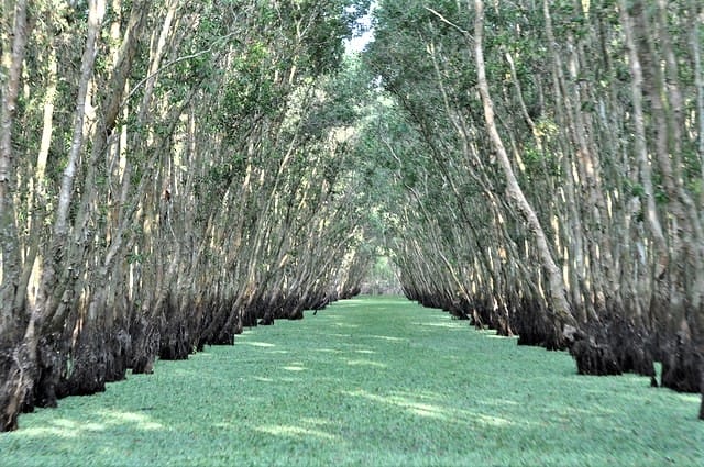 tour-exclusivo-en-lancha-rapida