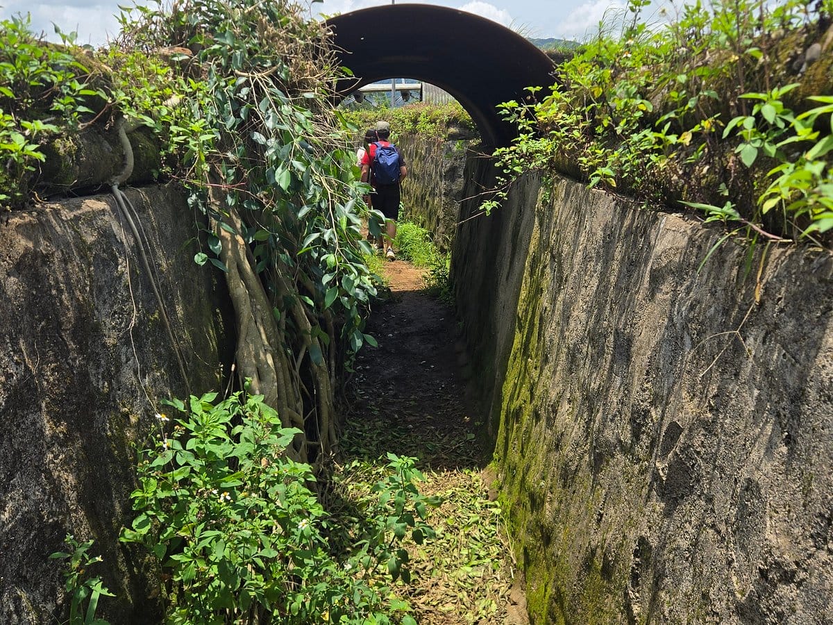 la-Zona-Desmilitarizada